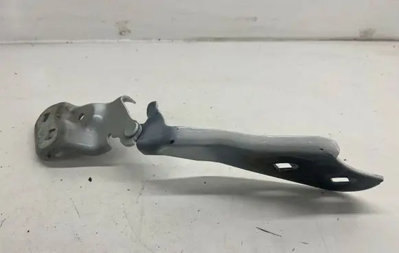 Tesla Model 3 Engine bonnet/hood hinges 109879200D