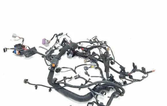 Engine installation wiring loom