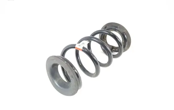 Rear coil spring
