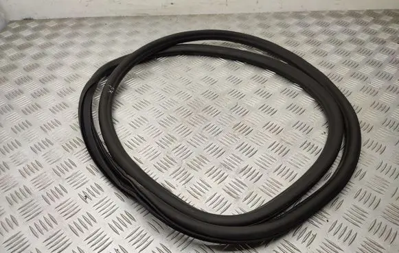 Opel Insignia B Front door rubber seal 13463862