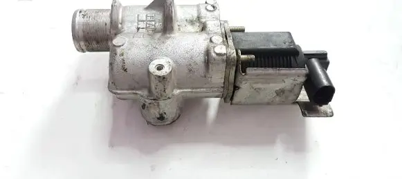 Renault Scenic III - Grand scenic III EGR valve 255366