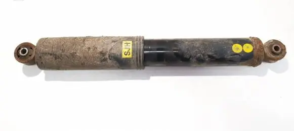 Chevrolet Captiva Rear shock absorber/damper 25995943