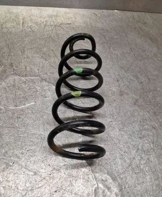 Rear coil spring