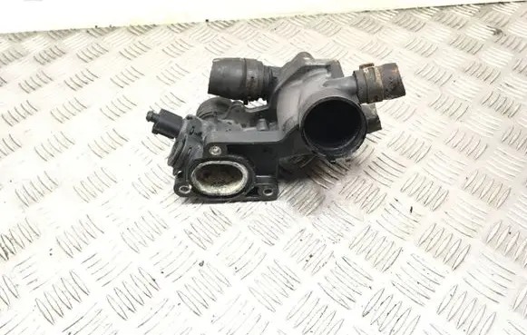 Thermostat/thermostat housing