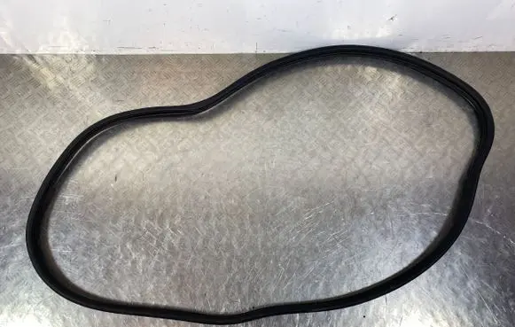 Ford F150 Rear door rubber seal (on body) 