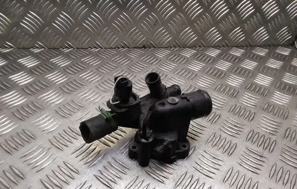 Thermostat/thermostat housing
