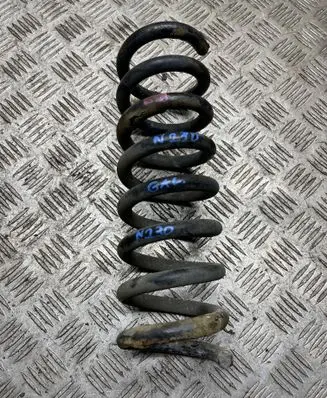 Rear coil spring