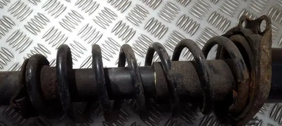 Toyota Corolla E120 E130 Rear coil spring