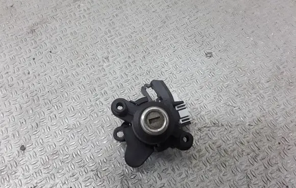 BMW 5 E60 E61 Tailgate exterior lock 82410889