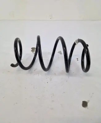 Front coil spring