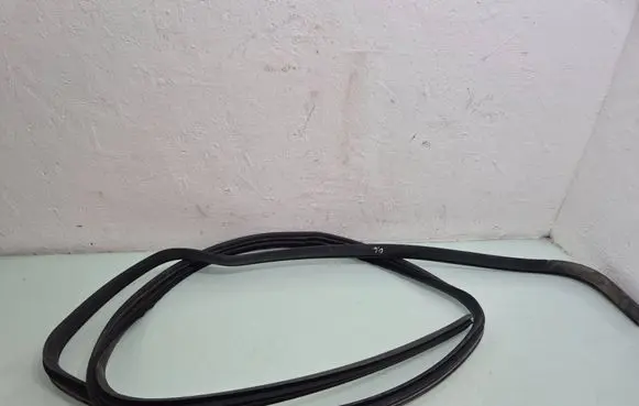Dodge Grand Caravan Sliding door rubber seal 