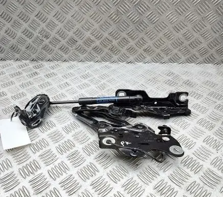 BMW X5 G05 Engine bonnet/hood hinges 7418201 7470793