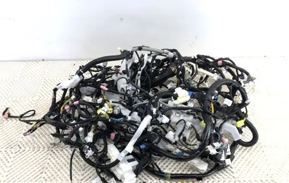 Front door wiring loom
