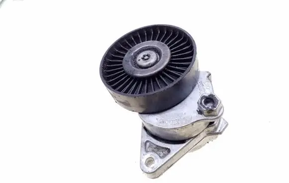 Mercedes-Benz S W220 Alternator belt tensioner 950113