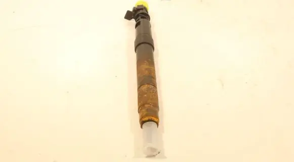 Citroen C4 Grand Picasso Fuel injector 9686191080