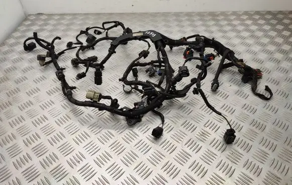 Engine installation wiring loom