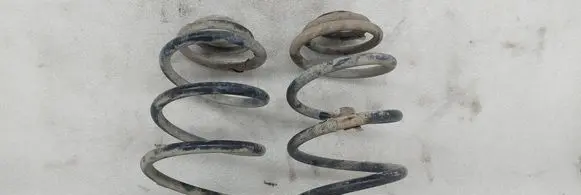 Rear coil spring