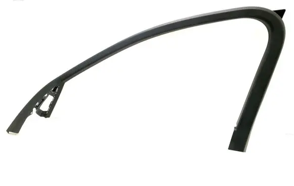 Other front door trim element