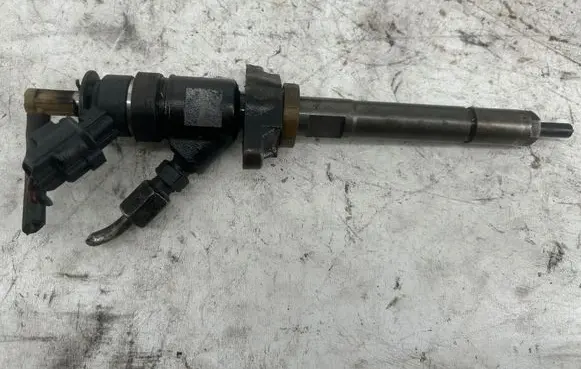 Citroen C3 Fuel injector 0445110311 620033