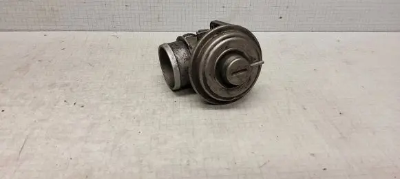 BMW 3 E46 EGR valve 7785452 2813800 00T110