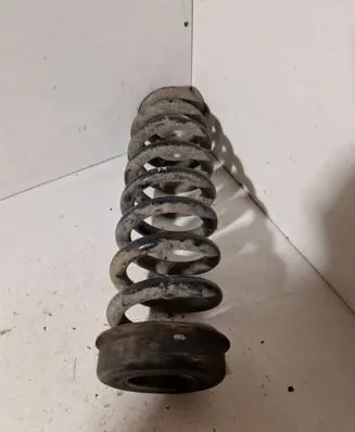 Rear coil spring