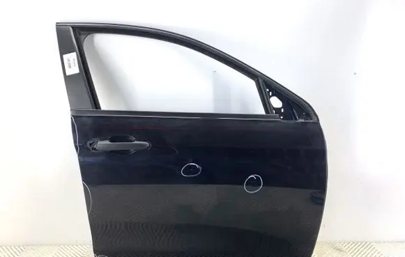 Fiat Tipo Front door 