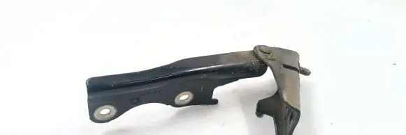 Mitsubishi Eclipse Engine bonnet/hood hinges 15520654