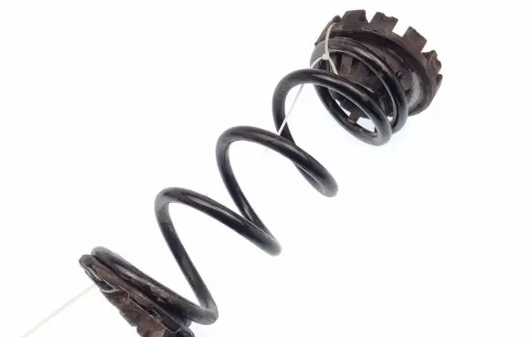 Nissan Murano Z52 Rear coil spring 550363JA0A