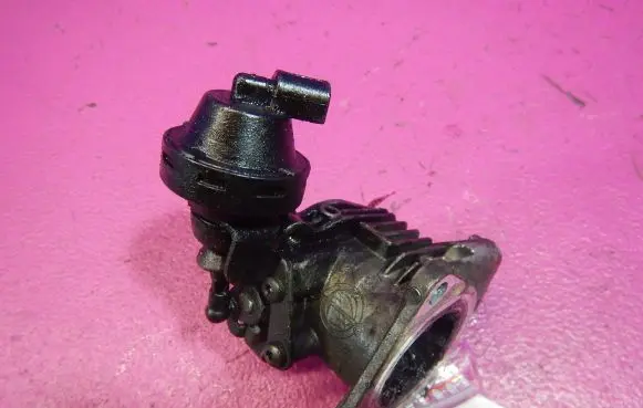 Throttle body valve