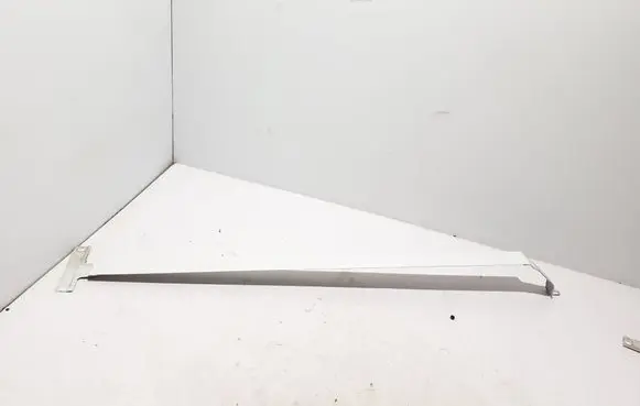 Opel Vivaro Sliding door trim (molding) 828955774R