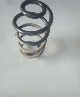 Nissan Juke I F15 Rear coil spring