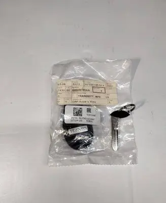 Ram 1500 Ignition key/card 6850720AA