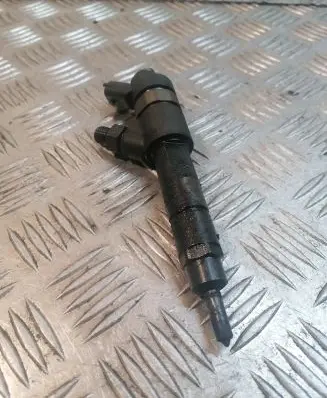 Peugeot Boxer Fuel injector 0455120002