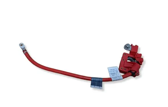 BMW X1 E84 Positive cable (battery) 9217018