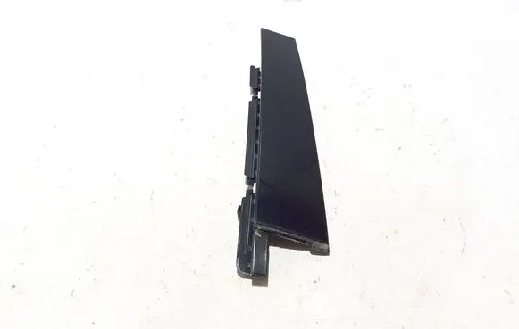 Ford Mach-E I Rear door trim (molding) LJ8BR254A40ABW