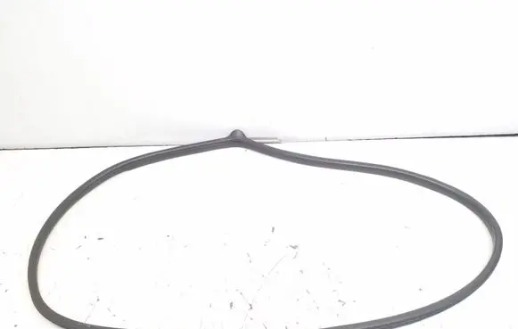 Rear door rubber seal (on body)