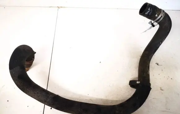 Citroen Berlingo Engine coolant pipe/hose