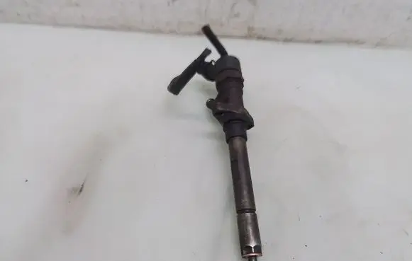 Peugeot 607 Fuel injector 0445110036