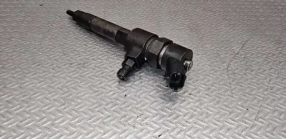 Renault Laguna II Fuel injector 044511002