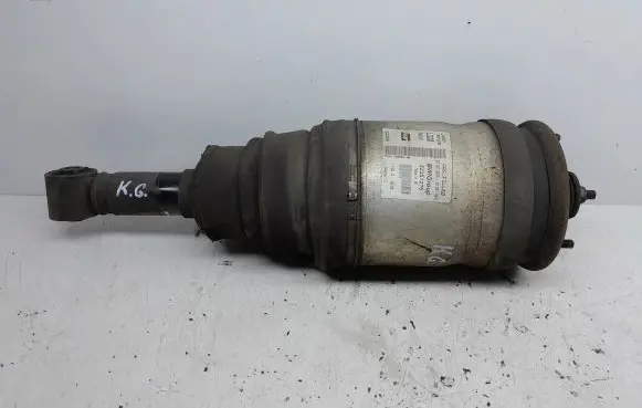 Land Rover Range Rover Sport L320 Rear shock absorber/damper 5H3218W002AB