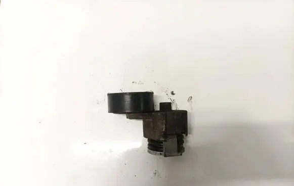 Dacia Sandero Generator/alternator belt tensioner