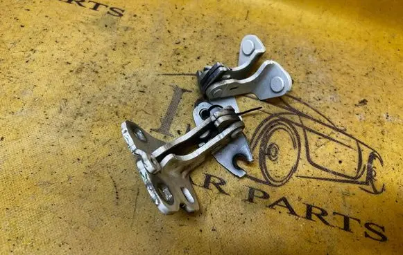 Tesla Model 3 Rear door hinge set 