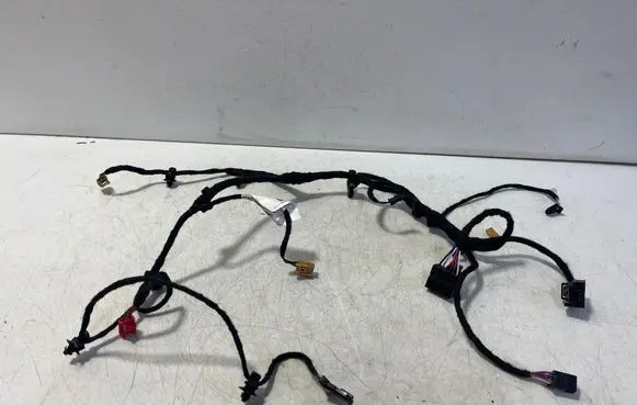 Porsche Taycan 9J1 Rear door wiring loom 9J1971120CK