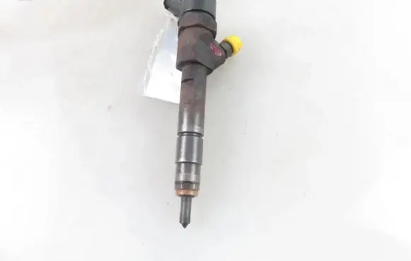 Renault Megane II Fuel injector 8200100272 0445110110B