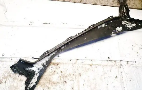 Wiper trim