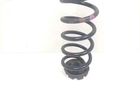 Rear coil spring