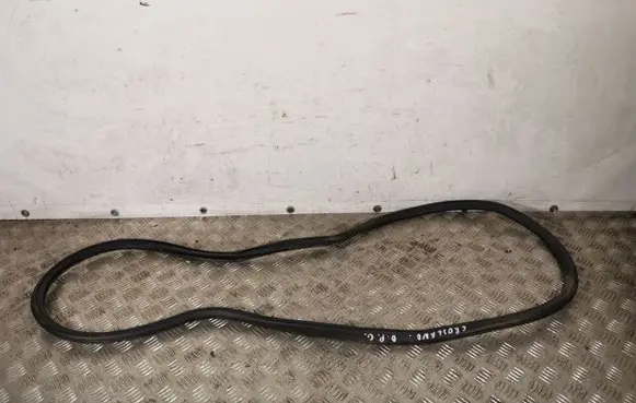 Opel Crossland X Rear door rubber seal (on body) CROSLANDGUMADPG