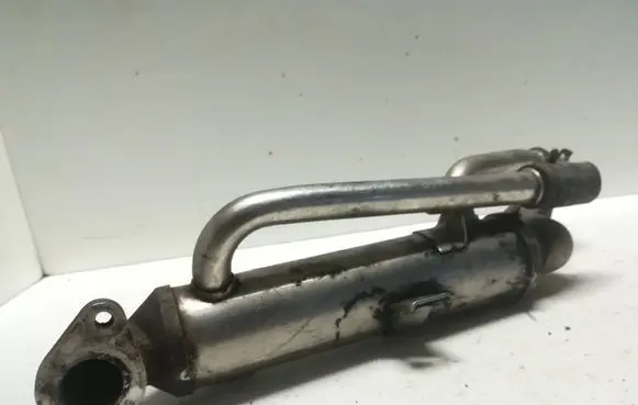 Volkswagen PASSAT B5.5 EGR valve cooler