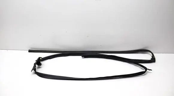 Land Rover Range Rover Sport L461 Front door rubber seal N9X220519A