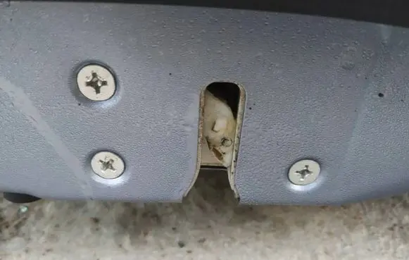 Honda CR-V Front door lock
